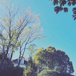 Meet your Posher, Damien